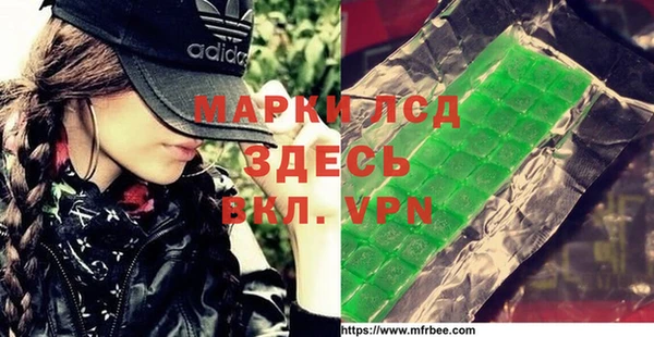 шишки Беломорск