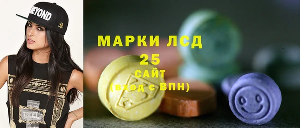 шишки Беломорск