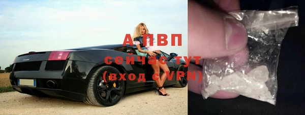 PSILOCYBIN Белоозёрский