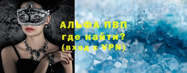 шишки Беломорск