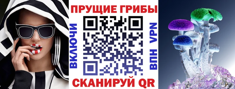 Галлюциногенные грибы Psilocybe  Воркута 